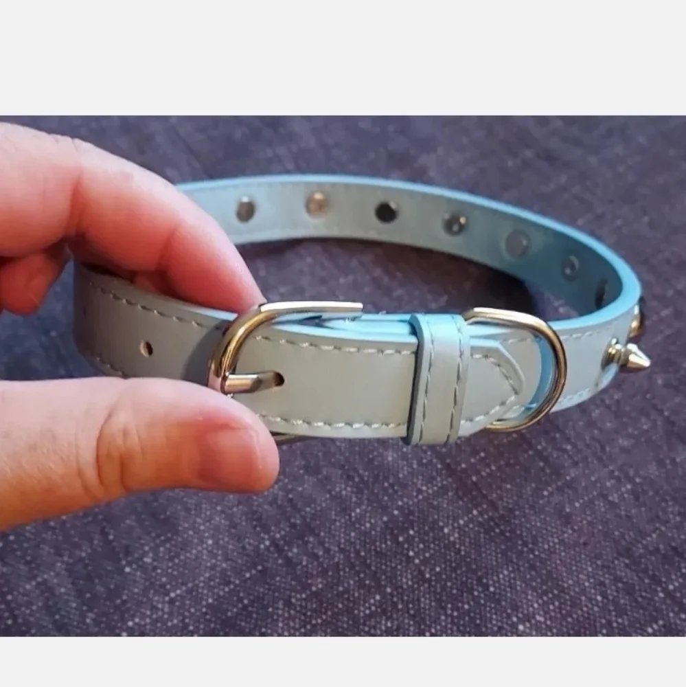 UDESIGNUSA Leather Adjustable Cats (Large 14-18) Blue New